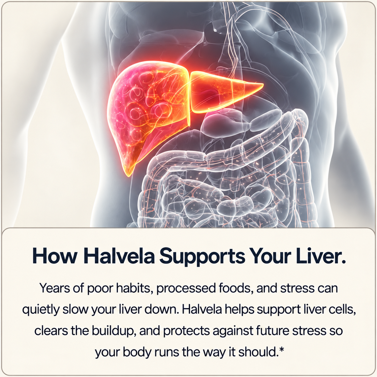 Halvela I Milk Thistle Liver Support