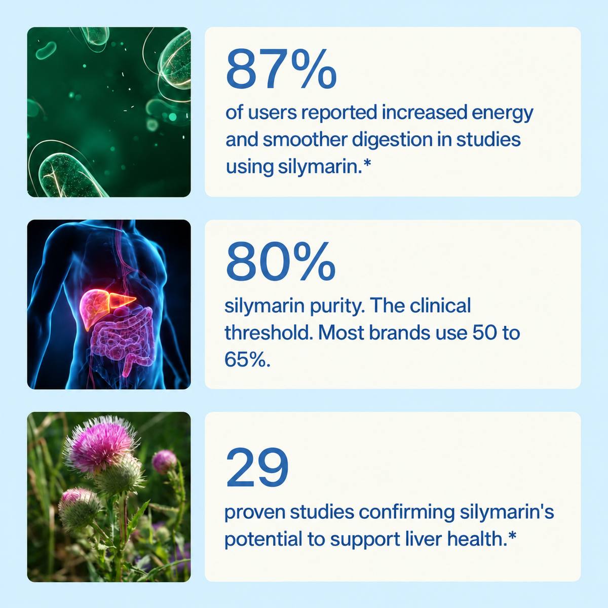 Halvela I Milk Thistle Liver Support 2.0