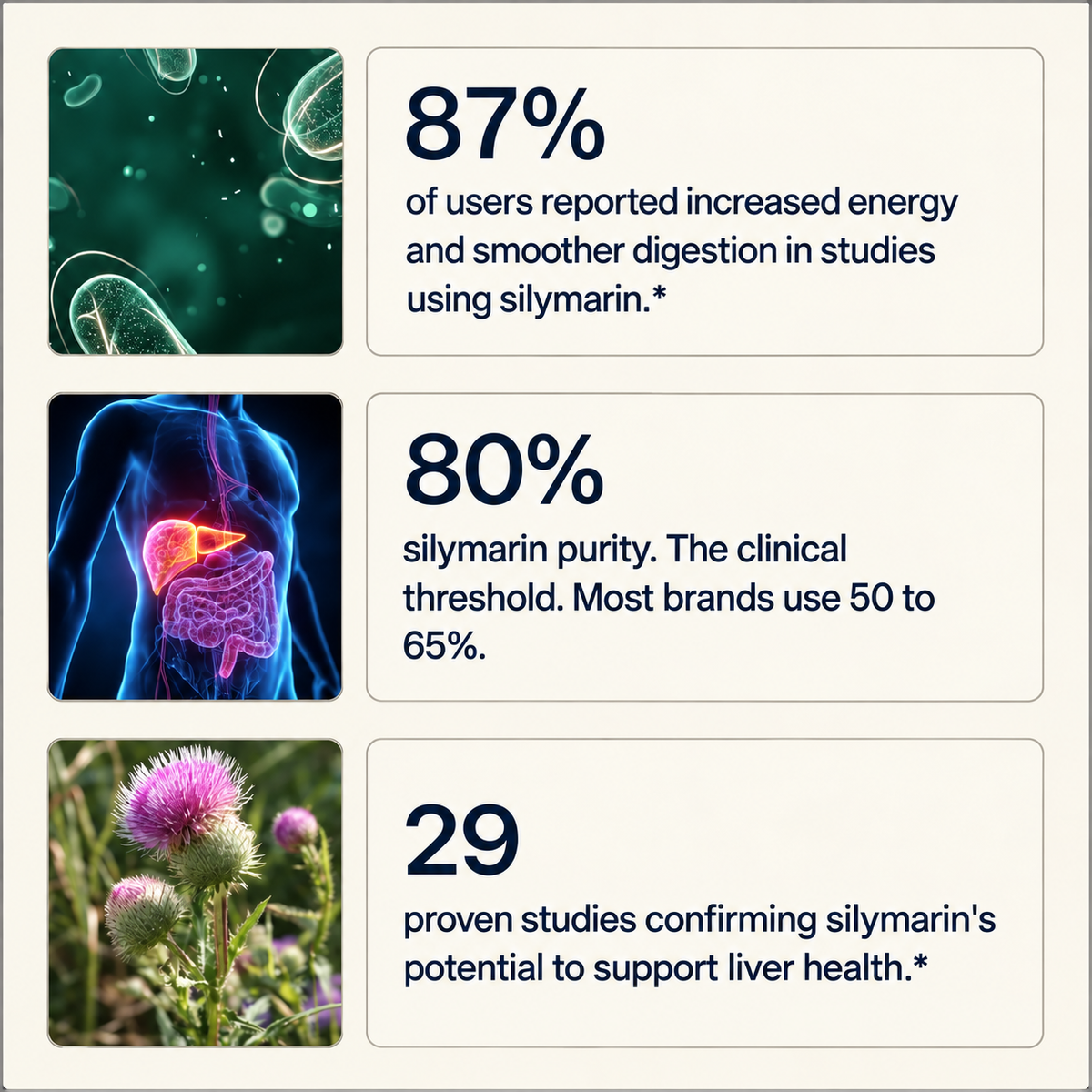 Halvela I Milk Thistle Liver Support