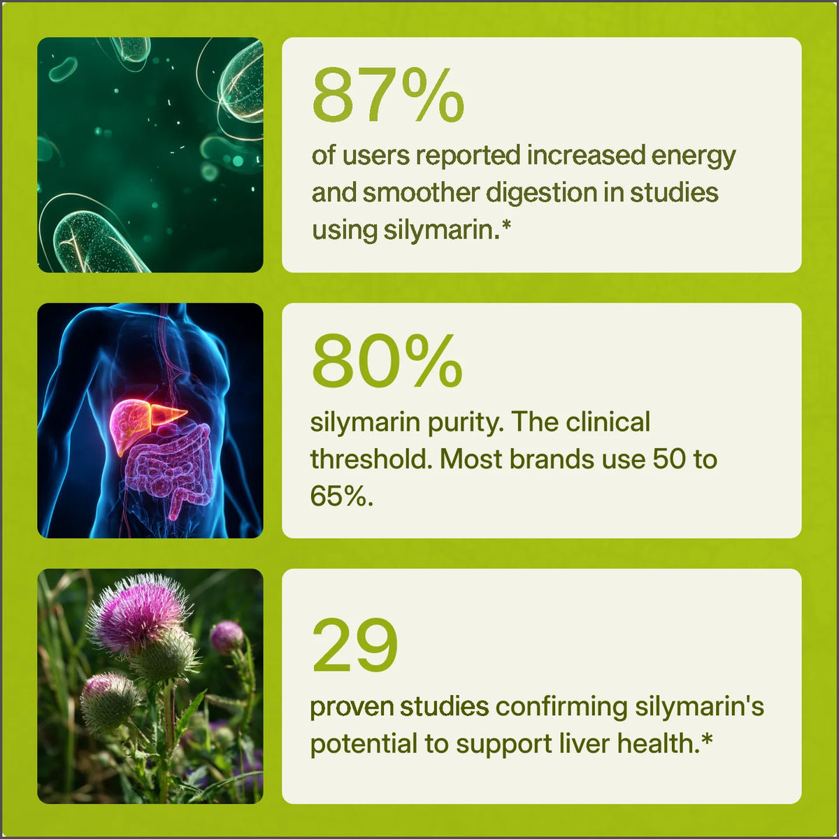 Halvela Milk Thistle Support